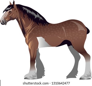 Clydesdale Horse,   Animal , Draught Stallion Galop - Vector Illustration