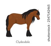 Clydesdale horse. Equine purebred breed. Pet dressage. Racehorse or western ranch. Pedigree mammal. Thoroughbred stallion gallop. Equestrian race. Horsy species. Vector domestic animal