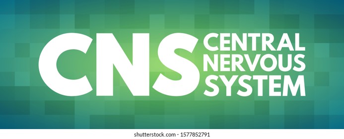 CNS - Central Nervous System Is The Part Of The Nervous System Consisting Primarily Of The Brain And Spinal Cord, Acronym Text Concept Background