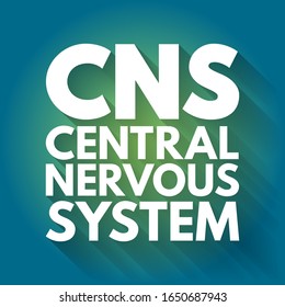 CNS - Central Nervous System Is The Part Of The Nervous System Consisting Primarily Of The Brain And Spinal Cord, Acronym Text Concept Background