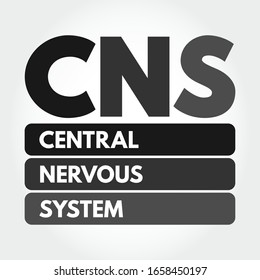 CNS - Central Nervous System Is The Part Of The Nervous System Consisting Primarily Of The Brain And Spinal Cord, Acronym Text Concept Background