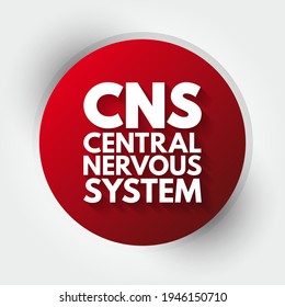 CNS - Central Nervous System is the part of the nervous system consisting primarily of the brain and spinal cord, acronym text concept background