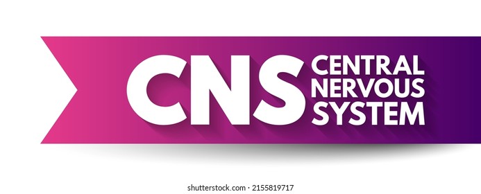 CNS - Central Nervous System Is The Part Of The Nervous System Consisting Primarily Of The Brain And Spinal Cord, Acronym Text Concept Background