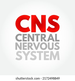 CNS - Central Nervous System Is The Part Of The Nervous System Consisting Primarily Of The Brain And Spinal Cord, Acronym Text Concept Background