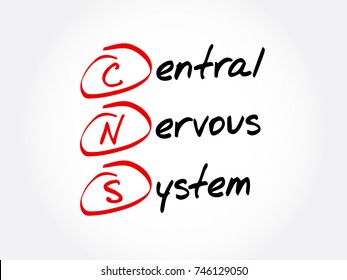 CNS - Central Nervous System Is The Part Of The Nervous System Consisting Primarily Of The Brain And Spinal Cord, Acronym Text Concept Background