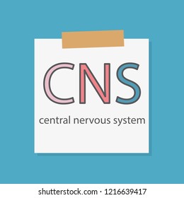 CNS central nervous system written in a notebook paper- vector illustration