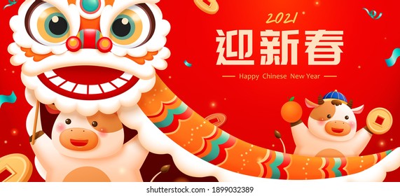 CNY cute baby cows playing lion dance illustration banner, Happy New Year written in Chinese text