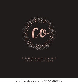 CO initial signature logo. handwriting logo template vector,