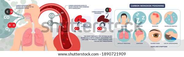 CO level chest pain loss of consciousness gas death\
cherry red skin cyanide toxicity motor car fuel methylene chloride\
blood prevent alarm oxygen toxic harmful danger device detect\
safety silent leak