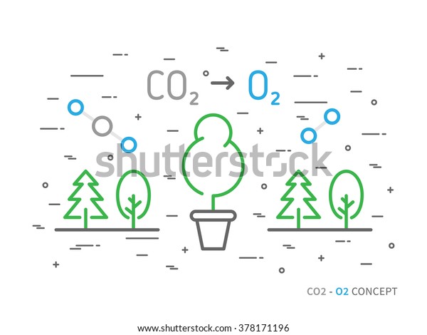 木 森 植物 原子 分子を持つ Co2 二酸化炭素 からo2 酸素 へのカラフルな線状ベクターイラスト 自然 エコロジー 酸素 クリエイティブグラフィックコンセプト 自然環境酸素プロセス のベクター画像素材 ロイヤリティフリー