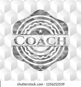 Coach realistic grey emblem with cube white background