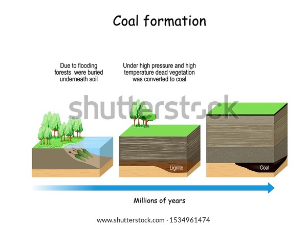 2,977 Layer Coal Images, Stock Photos & Vectors | Shutterstock