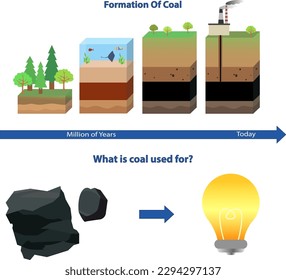 coal formation process, Formation of coal vector illustration, gas and petroleum process, what is coal use for explanation and infographic