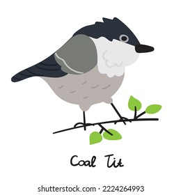 Coal tit on branch. Illustration on white background.