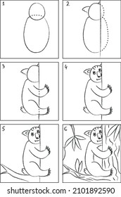 Instrucción de dibujo y libro de coloración del oso de coala