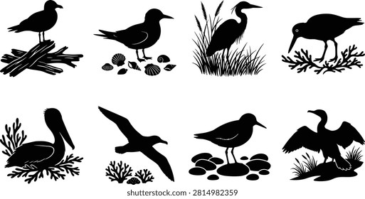Coastal and aquatic bird silhouettes featuring pelicans, herons, cormorants, and shorebirds in natural habitat vector collection