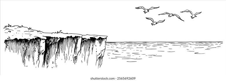 coastal cliff with seagulls flying over the ocean illustration