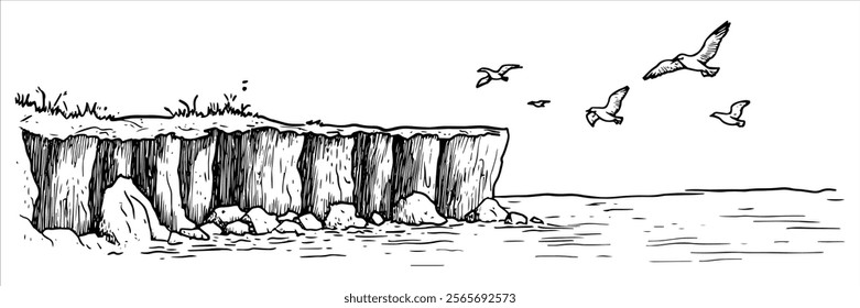 coastal cliff with seagulls and ocean illustration