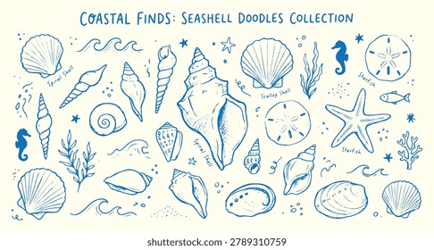 Coastal finds seashell doodles collection with various shells starfish and seahorses on cream background