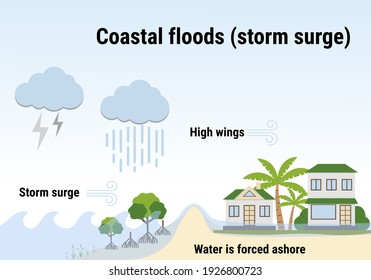 Coastal floods (storm surge). Flooding infographic. Flood natural disaster with rainstorm, weather hazard. Houses, trees covered with water. Global warming and climate change concept.  Flat vector.