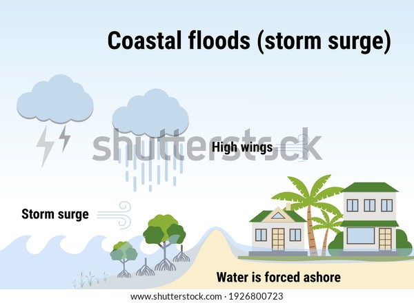 Coastal floods (storm surge). Flooding\
infographic. Flood natural disaster with rainstorm, weather hazard.\
Houses, trees covered with water. Global warming and climate change\
concept.  Flat vector.