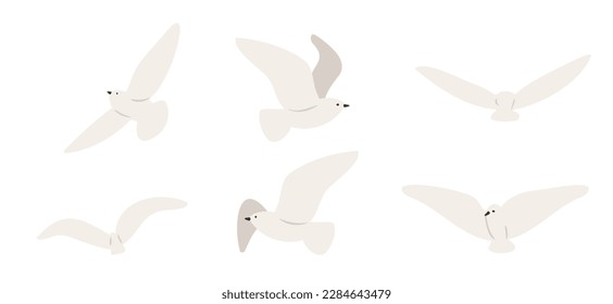 Clipart-Clipset für Küstenlandschaftslandschaft, Vektorgrafik auf Strandgrafik, Einzelelemente, Paar fliegende Seagull-Löwe-Clipart, Bilder im Cartoon-Stil, Hochzeitseinladung, Logo-Elemente