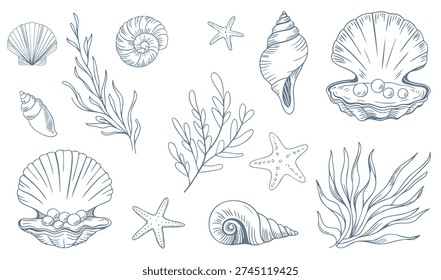 Coastal marine elements set with seashells, starfish and coral outlines. Beach themed seashell, coral and starfish sketch bundle in monochrome style.