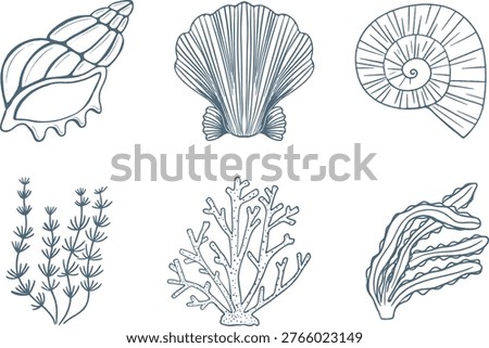 Coastal nature line art elements. Hand drawn sea shells, corals and seaweeds. Underwater flora and fauna set. Perfect for fabric prints, packaging, botanical scrapbooking and home decor.