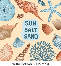 Coastal poster with shells, corals and starfish. Summer beach background with text. Vector illustration. Summer maritime card