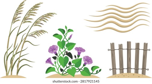 Coastal Sand Dune Flora Vector Set with Tall Sea Oats Purple Beach Morning Glory Flowers Wooden Sand Fence and Wind Waves.eps