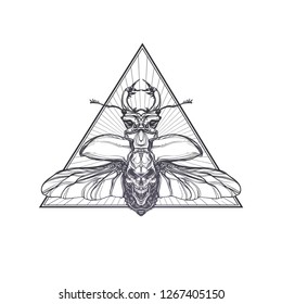 Coat of arms with skull and Insect beetle.Vector illustration.Winged bug with Dead Head and crown. Esoteric symbol, sacred geometry. Decorative design for stickers, tattoo, posters, t-shirt and patch.