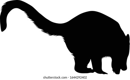 Coati (Nasua Nasua) Silhouette Vector Found In Map Of South America