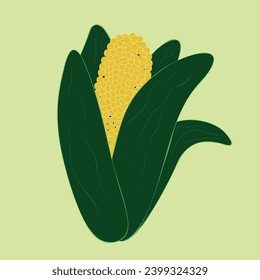 cob of corn with bright leaves