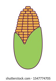 cob corn fresh isolated icon vector illustration design