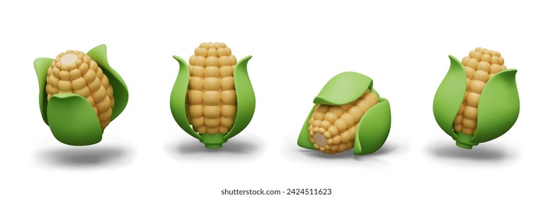 Cob of corn with green leaves. Sweet young corn, fresh vegetable for healthy diet