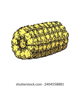 cob corn hand drawn. food fresh, green organic, field farm cob corn vector sketch. isolated color illustration
