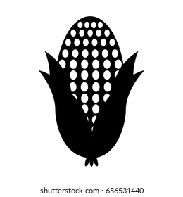cob corn isolated icon