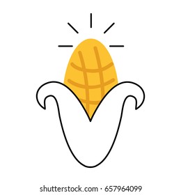 cob corn isolated icon