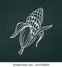 Cob corn thin white lines on a textural dark background - Vector illustration
