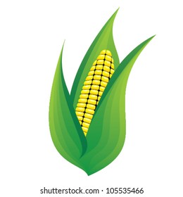 cob icon