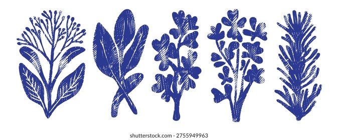 Cobalt blue botanical collection of herb and leaf silhouettes, vintage woodcut ink print with organic sage and rosemary, minimalist lino cut style, mediterranean aromatic plant sprigs set