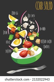 Cobb salad with chicken, avocado, tomatoes, eggs, bacon and cheese. Vector illustration