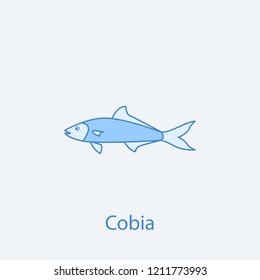 cobia 2 colored line icon. Simple light and dark blue element illustration. cobia concept outline symbol design from fish set