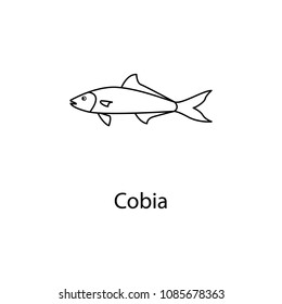 cobia icon. Element of marine life for mobile concept and web apps. Thin line cobia icon can be used for web and mobile. Premium icon on white background