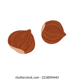 Cobnut or filbert forest nut, natural protein vitamin. Vector hazel-nut, vegetarian food dessert. Hazelnut in hard shell isolated cartoon superfood icon