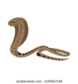Cobra african snake