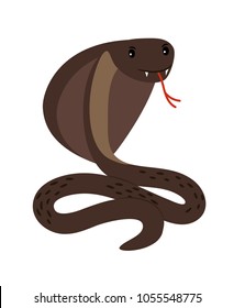 Cobra. Brown poisonous cobra snake attack position vector illustration isolated on white background