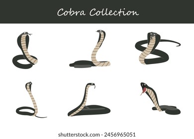 Cobra collection. Cobra in different poses. Vector illustration.