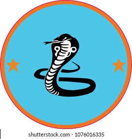 Cobra Dong to create a logo. To show the fight and the insidious. And speed