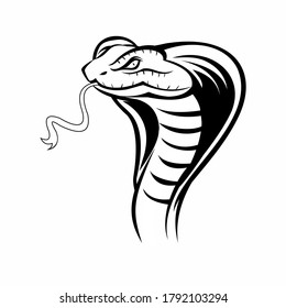 cobra head hand drawing vintage style